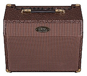 Luna AA25 25 watt Acoustic Guitar Amp with mic channel and chorus Luna AA25 25 watt Acoustic Guitar Amp with mic channel and chorus